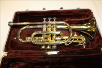 Sale Image for Large Public Auction