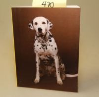 Sale Image for 1st Edition And Signed Book Auction