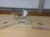 Sale Image for Lakeview Area Public Library Benefit Auction