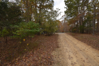 Sale Image for Wilkin Estate Personal Prop. -Absentee Bidding