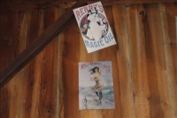 Sale Image for Public Auction