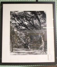 Sale Image for Super Antique Auction Online