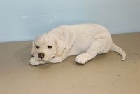 Sale Image for September Online Only Auction