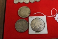 Sale Image for Large Public Auction