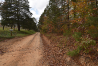 Sale Image for Wilkin Estate Personal Prop. -Absentee Bidding