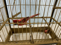 Sale Image for June Online Only 2021