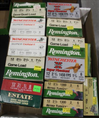 Sale Image for Large Public Auction