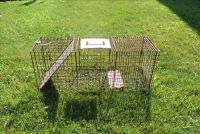 Sale Image for Moving Auction