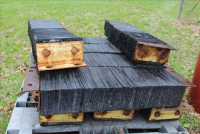 Sale Image for Estate Auction