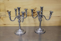 Sale Image for Large Public Auction