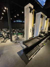 Sale Image for Upscale Physical Fitness Studio/Gym Equipment