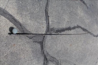 Sale Image for Estate Auction