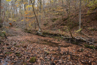 Sale Image for Wilkin Estate Personal Prop. -Absentee Bidding