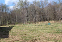 Sale Image for Real Estate Auction