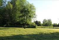 Sale Image for Real Estate & Contents Auction - Buckley Estate