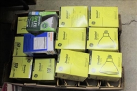 Sale Image for Large Public Auction