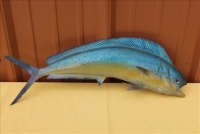 Sale Image for Large Public Auction