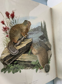 Sale Image for February Online Auction 2026