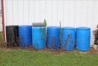 Sale Image for Moving Auction