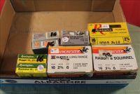 Sale Image for Large Public Auction