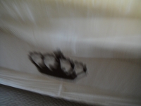 Sale Image for Large Estate Sale