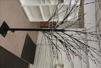 Sale Image for Jameson's Candy Store Liquidation Auction