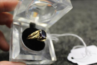 Sale Image for Large Public Auction