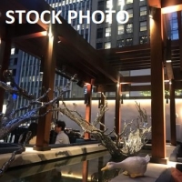 Sale Image for DaDong Catering LLC