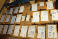 Sale Image for Jameson's Candy Store Liquidation Auction