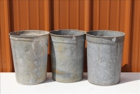 Sale Image for Large Big Bang Bash Auction