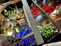 Sale Image for Country Estate Sale