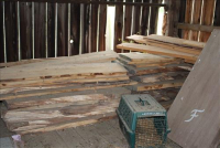 Sale Image for Moving Auction