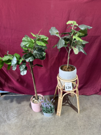 Sale Image for Biohackers Health And Fitness, LLC