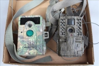 Sale Image for Large Public Auction