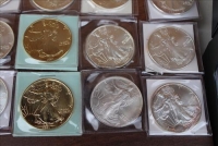 Sale Image for Large Public Auction