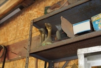 Sale Image for Primitives, Antiques, Collectibles & Tool Auction