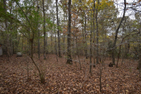 Sale Image for Wilkin Estate Personal Prop. -Absentee Bidding