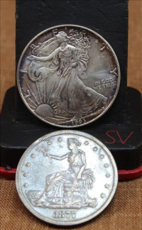 Sale Image for Large Public Auction