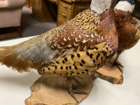Sale Image for July Online Only Auction 2021