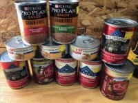 Sale Image for Lakeview Area Public Library Benefit Auction