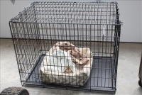 Sale Image for Large Public Auction