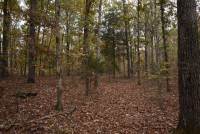 Sale Image for Wilkin Estate Personal Prop. -Absentee Bidding