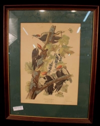 Sale Image for Five Estates Auction