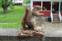 Sale Image for Large Public Auction