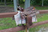 Sale Image for Large Public Auction