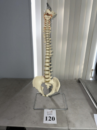 Sale Image for Florida Spine And Joint Institute, LLC D/b/a IRISE Surplus Medical Equip.