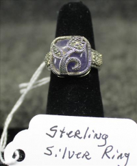 Sale Image for Large Public Auction