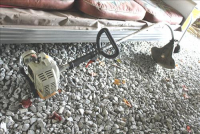 Sale Image for Large Public Auction