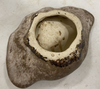 Sale Image for March Online Auction 2021