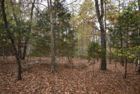 Sale Image for Wilkin Estate Personal Prop. -Absentee Bidding